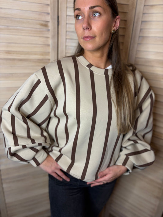 🤍Beige Sweater met Brown Stripes