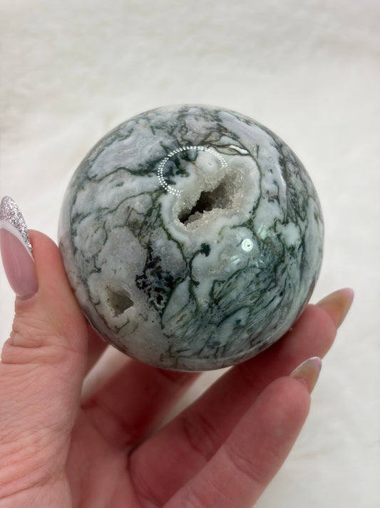 💜Boomagaat Bol - SALE