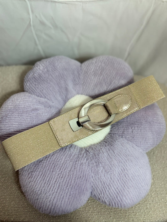 🤍Golden Belt With Silver Strap - 75CM